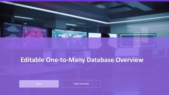 Editable One To Many Database Overview PPT Sample AT