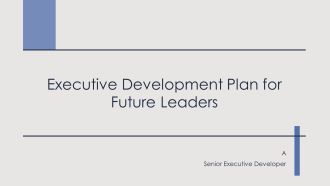 Executive Development Plan For Future Leaders PPT Graphics AT