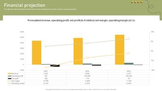 Financial Projection Shared Transportation Platform Business Model BMC SS V
