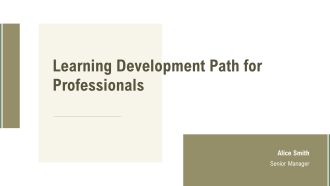 Learning Development Path For Professionals PPT Guidelines AT
