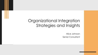 Organizational Integration Strategies And Insights PPT Information AT
