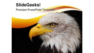 Portrait Of Eagle Animals PowerPoint Template 1110