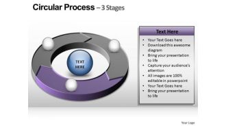 PowerPoint Presentation Strategy Circular Ppt Designs