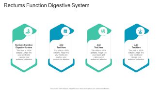 Rectums Function Digestive System In Powerpoint And Google Slides Cpb