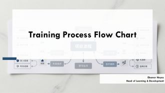 Training Process Flow Chart PPT Example VM