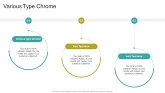 Various Type Chrome In Powerpoint And Google Slides Cpb