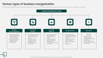 Various Types Of Business Reorganization Inspiration Pdf