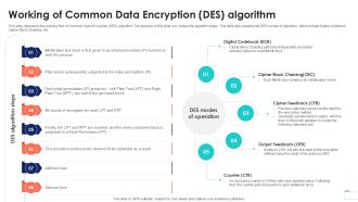 Working Of Common Data Encryption Data Security In Cloud Computing Ppt Example