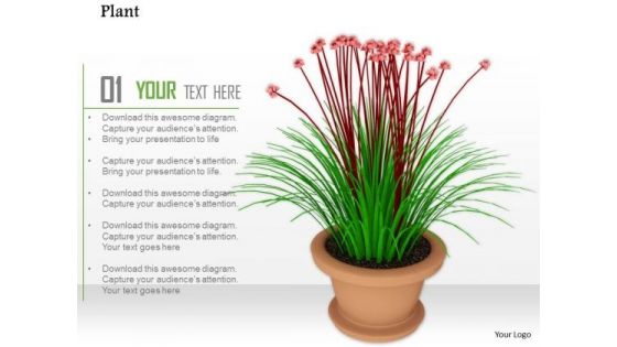 0814 Colorful Plant Potted For Environment Image Graphics For PowerPoint 0814 Colorful Plant Potted For Environment Image Graphics For PowerPoint