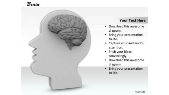 0814 Stock Photo 3d Illustration Of Human Brain PowerPoint Slide