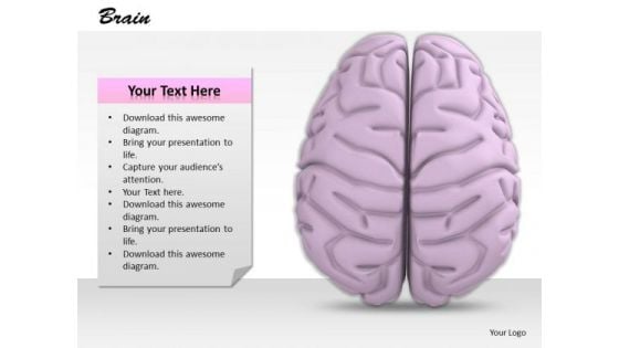 0814 Stock Photo 3d Image Of Human Brain PowerPoint Slide