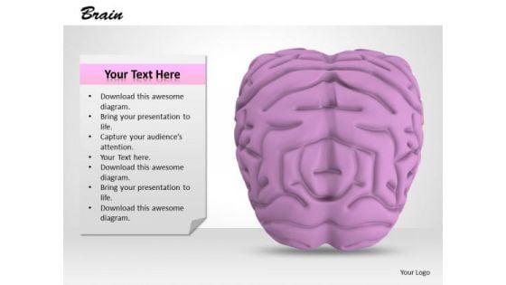 0814 Stock Photo 3d Model Of Human Brain PowerPoint Slide