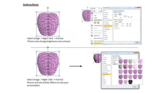 0814 Stock Photo 3d Model Of Human Brain PowerPoint Slide