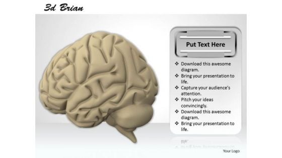 0814 Stock Photo 3d Render Of Human Brain PowerPoint Slide