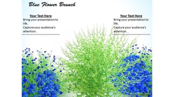 0814 Stock Photo Blue Flowers With Green Grass PowerPoint Slide