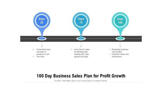 100 Day Business Sales Plan For Profit Growth Ppt PowerPoint Presentation Infographics Example File PDF