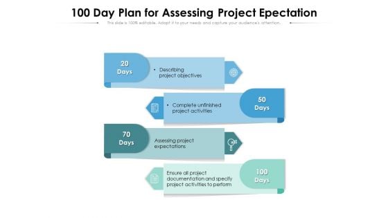 100 Day Plan For Assessing Project Epectation Ppt PowerPoint Presentation File Background PDF