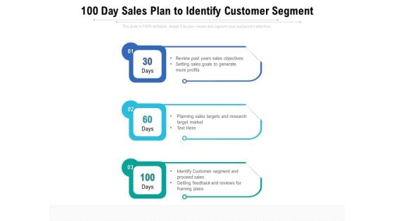 100 Day Sales Plan To Identify Customer Segment Ppt PowerPoint Presentation Pictures Design Ideas PDF