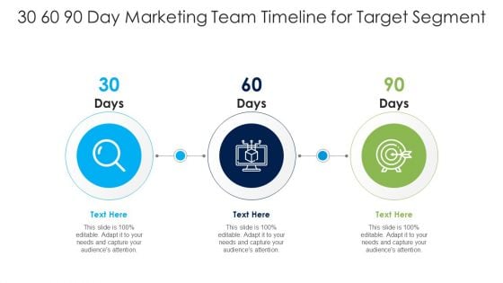 30 60 90 Day Marketing Team Timeline For Target Segment Ppt PowerPoint Presentation File Summary PDF