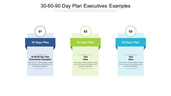 30 60 90 Day Plan Executives Examples Ppt PowerPoint Presentation Gallery Images Cpb Pdf 30 60 90 Day Plan Executives Examples Ppt PowerPoint Presentation Gallery Images Cpb Pdf