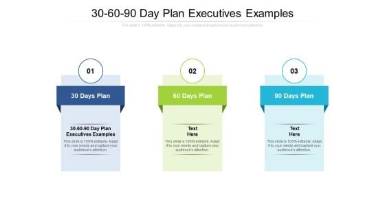 30 60 90 Day Plan Executives Examples Ppt PowerPoint Presentation Gallery Images Cpb Pdf