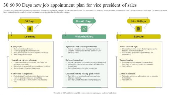 30 60 90 Days New Job Appointment Plan For Vice President Of Sales Topics PDF