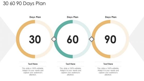 30 60 90 Days Plan Guidelines PDF