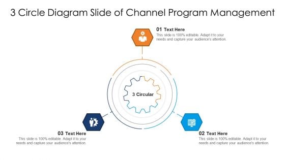 3 Circle Diagram Slide Of Channel Program Management Ppt PowerPoint Presentation File Deck PDF