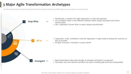 3 Major Agile Transformation Archetypes Background PDF