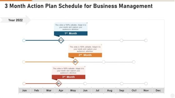 3 Month Action Plan Schedule For Business Management Introduction PDF