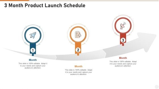 3 Month Product Launch Schedule Infographics PDF