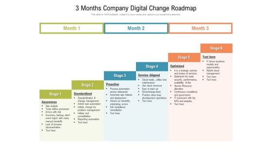 3 Months Company Digital Change Roadmap Ideas