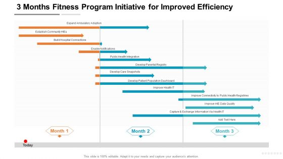 3 Months Fitness Program Initiative For Improved Efficiency Topics