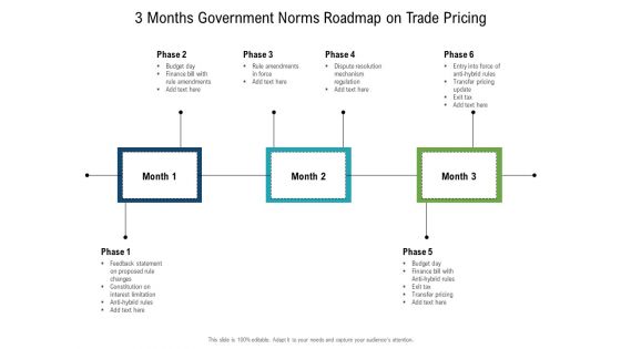 3 Months Government Norms Roadmap On Trade Pricing Slides
