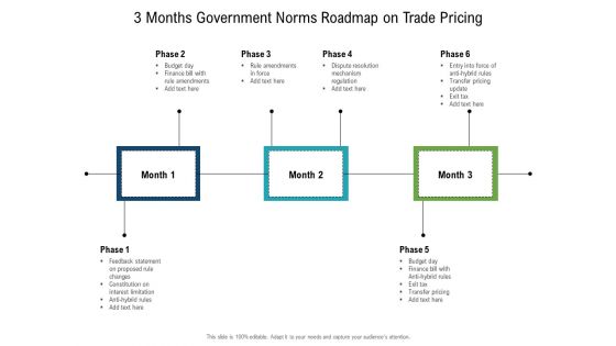 3 Months Government Norms Roadmap On Trade Pricing Slides