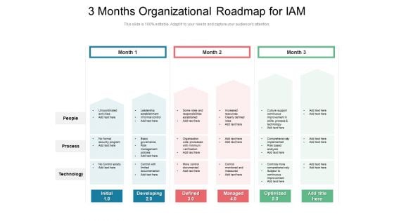 3 Months Organizational Roadmap For IAM Pictures