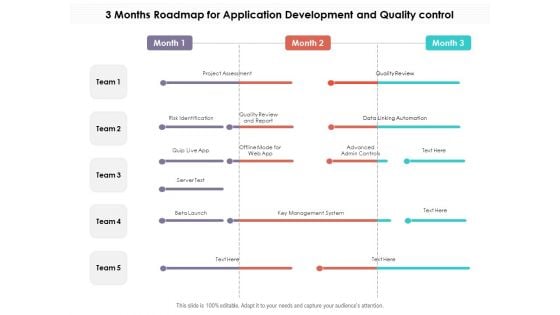 3 Months Roadmap For Application Development And Quality Control Information