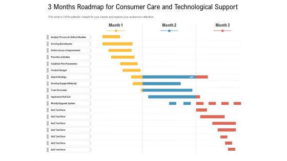 3 Months Roadmap For Consumer Care And Technological Support Professional