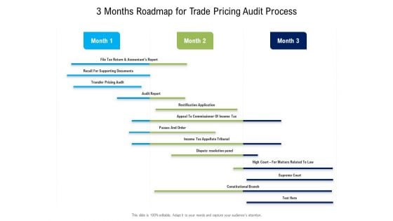 3 Months Roadmap For Trade Pricing Audit Process Ideas 3 Months Roadmap For Trade Pricing Audit Process Ideas