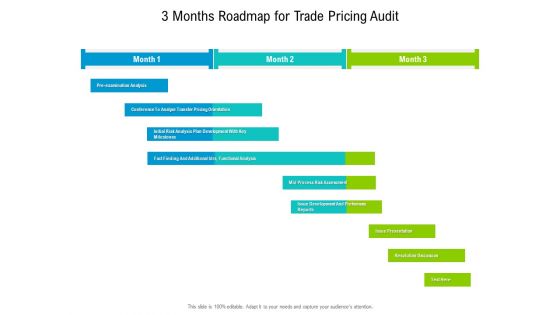 3 Months Roadmap For Trade Pricing Audit Sample