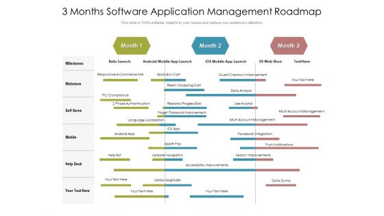 3 Months Software Application Management Roadmap Slides