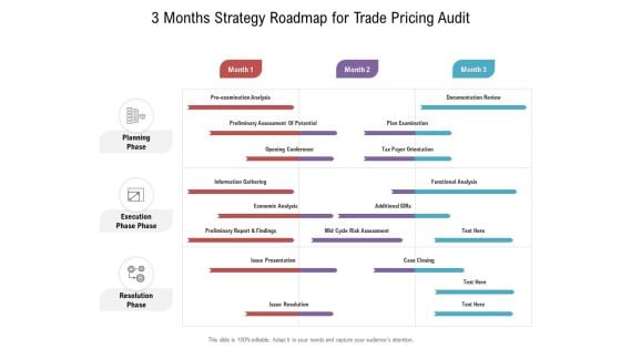 3 Months Strategy Roadmap For Trade Pricing Audit Sample