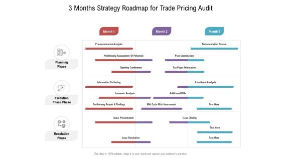3 Months Strategy Roadmap For Trade Pricing Audit Sample 3 Months Strategy Roadmap For Trade Pricing Audit Sample