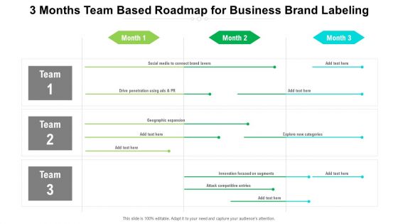 3 Months Team Based Roadmap For Business Brand Labeling Designs