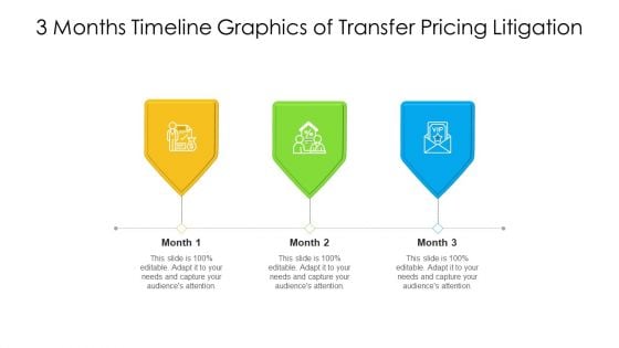 3 Months Timeline Graphics Of Transfer Pricing Litigation Ppt PowerPoint Presentation File Icons PDF