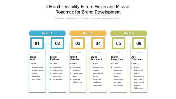 3 Months Viability Future Vision And Mission Roadmap For Brand Development Pictures