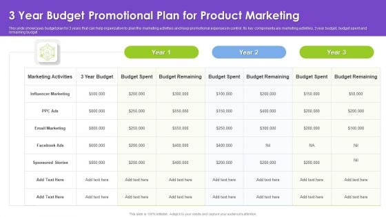 3 Year Budget Promotional Plan For Product Marketing Information PDF