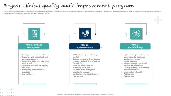 3 Year Clinical Quality Audit Improvement Program Ideas PDF