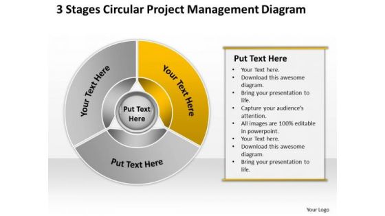 3 Stages Circular Project Management Diagram Business Strategy PowerPoint Templates