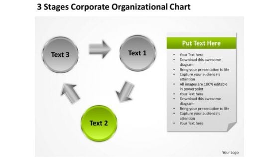 3 Stages Corporate Organizational Chart Executive Summary Business Plan PowerPoint Templates